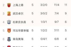 深足主场勇夺三分，稳固积分榜位置的简单介绍
