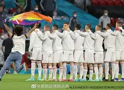 关于瑞士反败为胜，逆袭奥地利，欧锦赛希望之光仍在的信息
